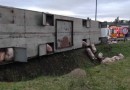 Caminhão tomba e porcos fogem em rodovia de SC