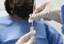 Fiocruz aponta sinais de queda em alta recente da covid-19 no Brasil