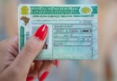 Mais de 22 mil motoristas do Paraná renovaram habilitação automaticamente