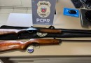 Polícia Civil cumpre mandado e apreende armas em Ampére