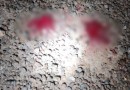 Homem é detido suspeito de matar e enterrar cachorro
