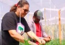 Produtores de orgânicos do Paraná serão premiados por boas práticas no campo