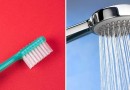 Estudo identifica mais de 600 vírus em escovas de dente e chuveiros