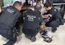 PCPR deflagra operação contra grupo especializado em furtos e adulteração de veículos