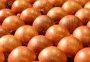 Estado é o maior produtor nacional de cebola; leilões de milho iniciam em setembro