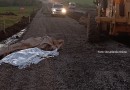 Atropelamento tira a vida de um idoso na PRC 280