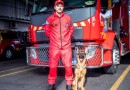 Bombeiros preparam cadela de salvamento para auxiliar em ocorrências no sudoeste do Paraná