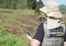Polícia Científica já concluiu mais de mil requisições de perícia para crimes ambientais