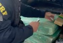 PRF apreende mais de 150 kg de maconha, fuzil e munições de fuzil no Paraná