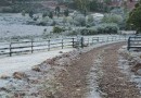 Palmas registra -3,5°C e amanhece coberta por geada nesta quarta-feira (08)