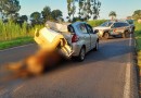 Colisão entre carro e égua deixa dois policiais feridos