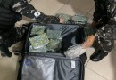 Grupo criminoso do Paraná é alvo de operação do Gaeco de Santa Catarina
