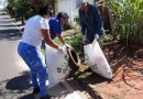 Saúde abre inscrições para curso de formação de agentes de combate às endemias