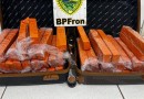 Polícia Militar apreende mais de 31 Kg de maconha em ônibus interestadual no município de Realeza