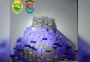 Polícia Militar apreende 163 kg de maconha após perseguição em Flor da Serra do Sul