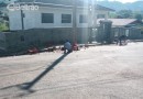 Carga de "Velho Barreiro" cai de caminhão em Francisco Beltrão