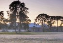 Após recorde de frio, temperatura sobe e Paraná volta a ter veranicos de inverno