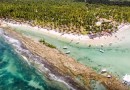 Barulho de barco e de turistas afeta comunicação de peixes, diz estudo