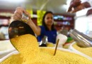 Em 2023, população brasileira ocupada passou dos 100 milhões
