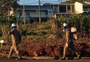 Município  registra 828 notificações e 17 casos confirmados de dengue em 2026