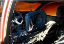 Homem é preso por incendiar carro e praticar vandalismo