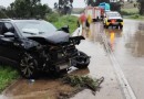 Mulher fica ferida após carro sair da pista e bater contra árvore