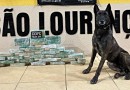 Polícia Rodoviária de São Lourenço do Oeste apreende mais de 30 kg de crack em caminhão na SC-157