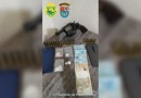 Duas pessoas são detidas por tráfico de drogas e porte de armas e munições