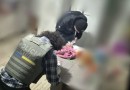 PCPR cumpre mandados de busca e apreensão contra suspeito de pedofilia em Pato Branco