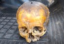 Suposto crânio humano é encontrado em lixeira no Bairro Vila Nova