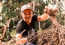 BID Invest, DEG e Cresol unem forças para impulsionar a inclusão financeira e o crescimento sustentável de pequenas empresas no Brasil