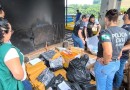 Drogas apreendidas são incineradas pela 19ª SDP