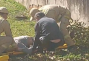 Homem de 69 anos sofre queda durante poda de árvore