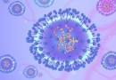 LACEM confirma morte de bebê por conta de Metapneumovirus Humano