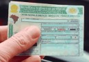 Senado aprova renovação automática da CNH para bons condutores