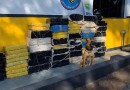 Homem é preso com mais de 800kg de maconha na PR 586