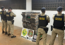 Forças de segurança encontram tonelada de maconha escondida em mata