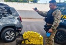 Cadela da Polícia Penal fareja e ajuda a apreender 81 kg de maconha no Paraná