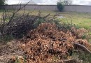 Homem de 37 anos é encontrado morto em terreno