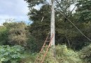 Homem é preso por furto de energia elétrica em propriedade rural