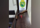 Homem é preso por embriaguez ao volante e porte ilegal de arma de fogo