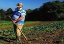 Governo investe R$ 5,94 milhões para apoiar projetos de 1.360 famílias rurais