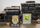 Mais de 1,1 tonelada de maconha é apreendida em ação conjunta do BPFRON e Polícia Federal