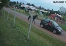 Passageiro de carro furta cavalo no KM 20; Polícia divulga imagens para encontrar suspeito