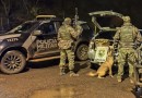 BPFRON prende homem e apreende mais de 232 quilos de maconha