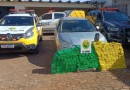 Polícia Militar apreende quase 500 kg de maconha em Mangueirinha