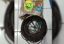 Homens são presos suspeitos de furto no interior de Marmeleiro