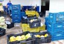 Banco de Alimentos do Paraná é destaque no combate ao desperdício