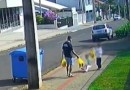 MPPR denuncia homem por tortura e lesão corporal contra filhos de 3 e 5 anos