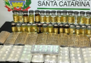 Motorista é preso com 430 comprimidos de oxicodona e anabolizantes